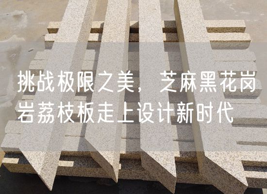 挑戰極限之美，芝麻黑花崗巖荔枝板走上設計新時代