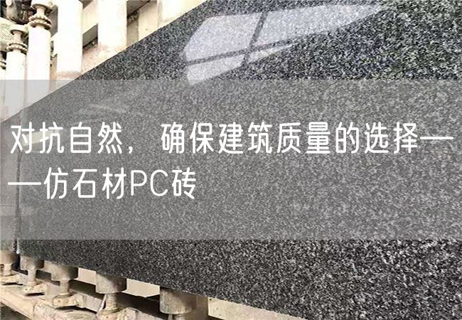 對抗自然，確保建筑質量的選擇——仿石材PC磚