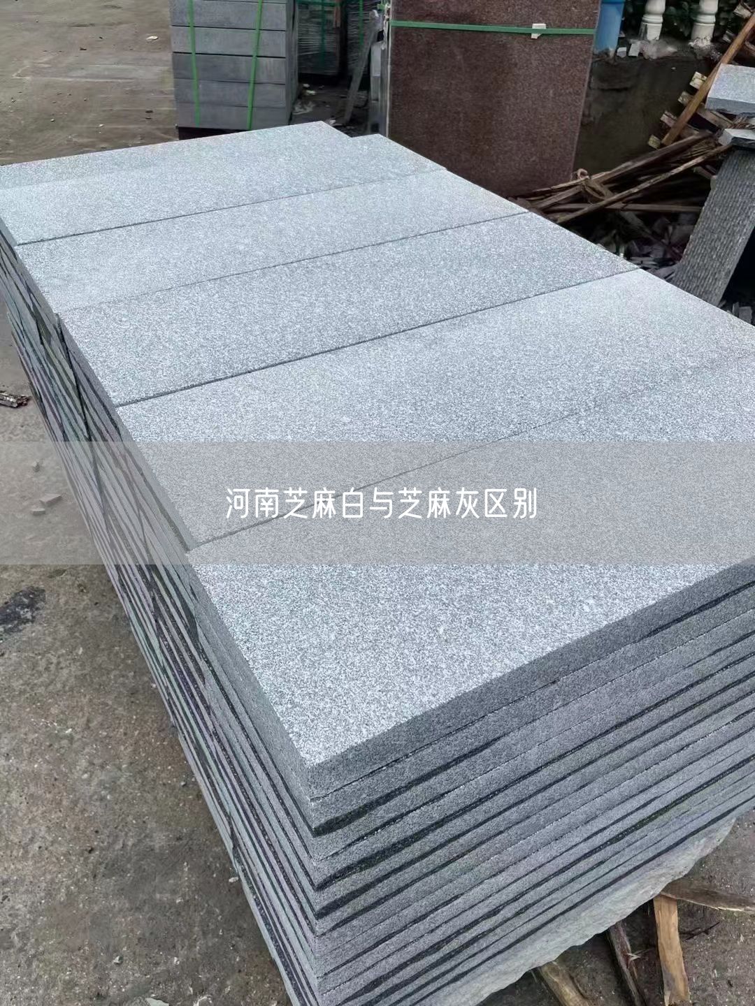 河南芝麻白與芝麻灰區別