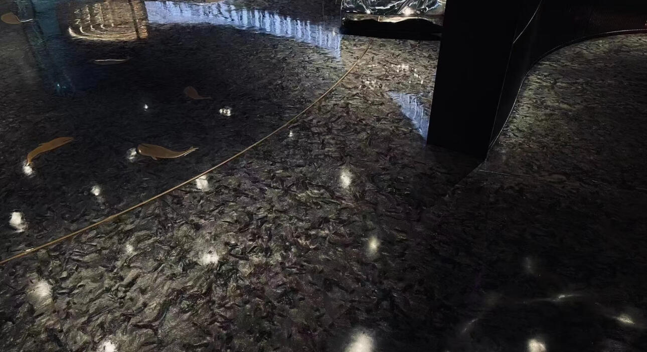 安哥拉黑大理石光面規格板廠家報價每平方米單價(圖6)