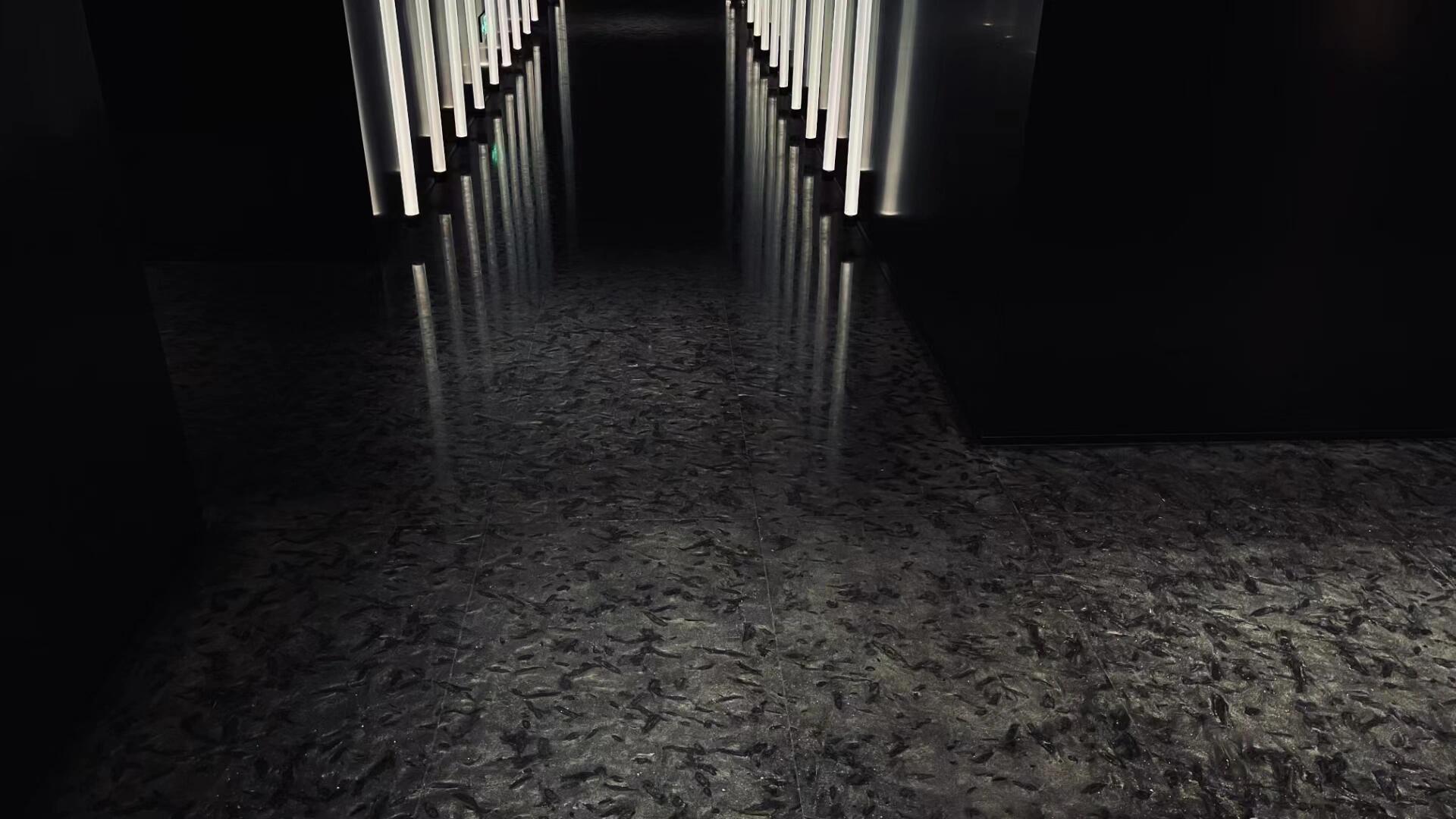 范思哲黑生產(chǎn)廠家的可持續(xù)發(fā)展戰(zhàn)略是什么？