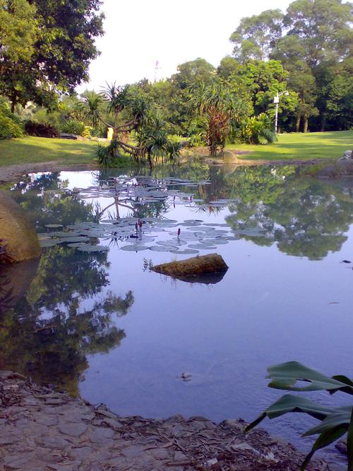 輕松掌握手機電池更換技巧，讓你的手機重煥新生