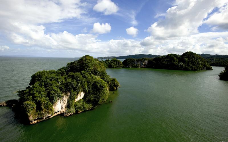 打造一份出色的自我陳述報告，提升高中綜合素質評價分數