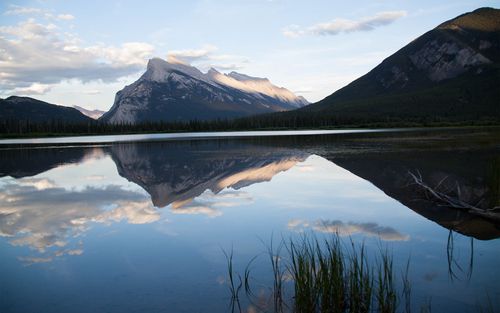 求職利器！免費個人簡歷模版，助你快速找到理想工作(圖3)