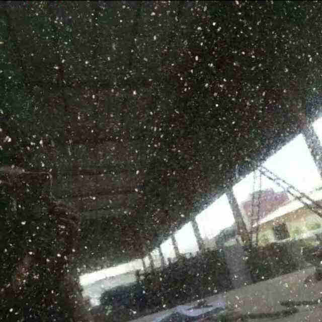 蒙古黑石材報價