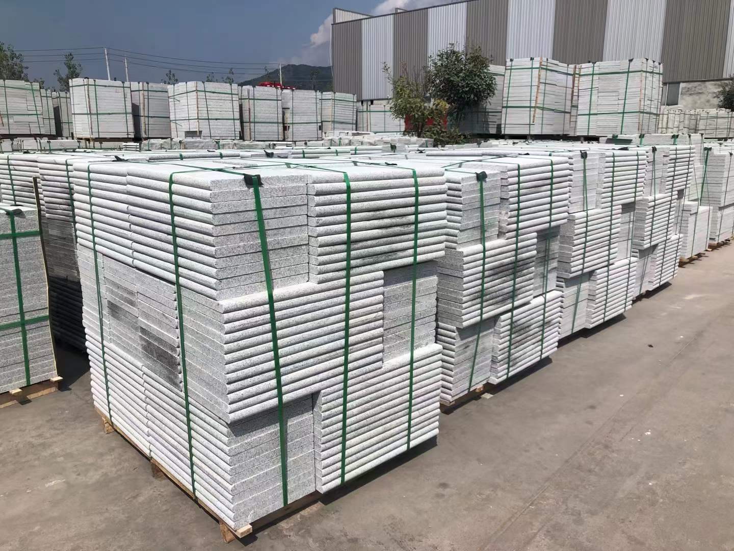 芝麻灰火燒面芝麻灰圖片(圖3)