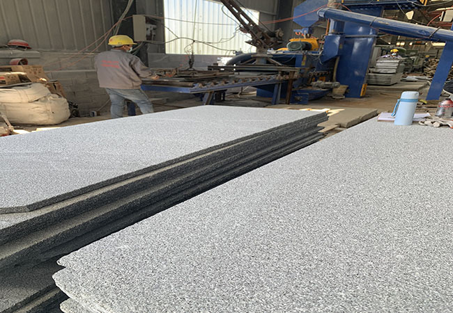 山東603芝麻白價格多少錢(圖2)