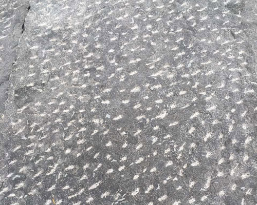 遵義市石材加工廠