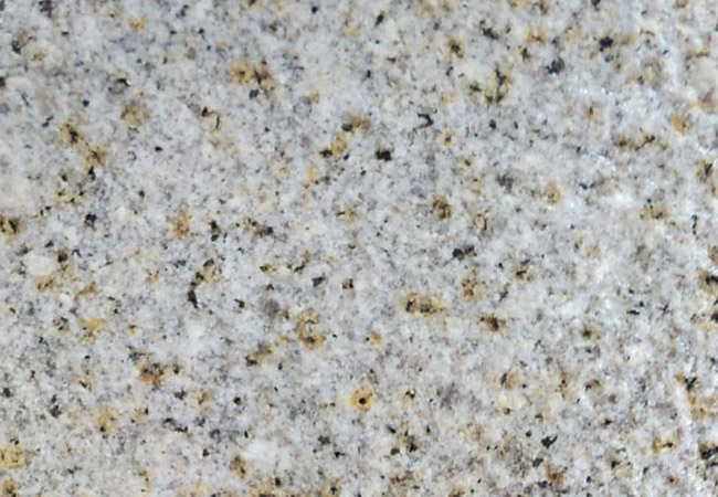 黃金麻荔枝面地面圖片(圖3)