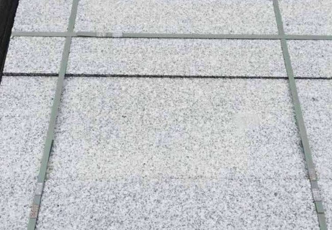 芝麻灰與灰麻的區(qū)別(圖1)