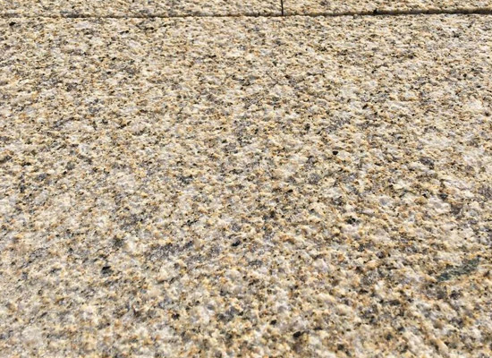 黃金麻荔枝面價格尺寸