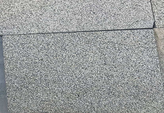 芝麻黑導盲轉價格如何多少(圖3)