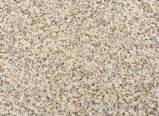 黃金麻荔枝面多少錢(qián)？