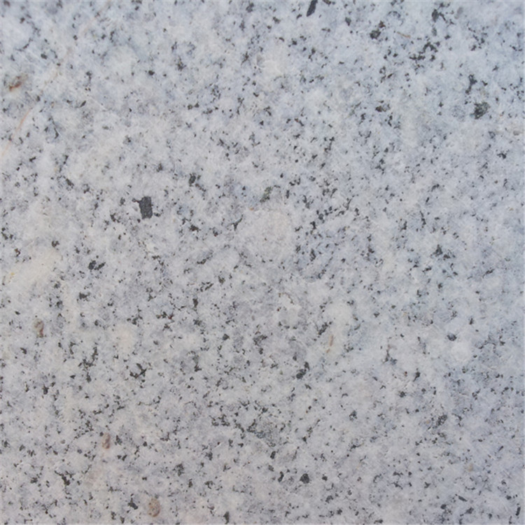 芝麻灰單價多少(圖5)