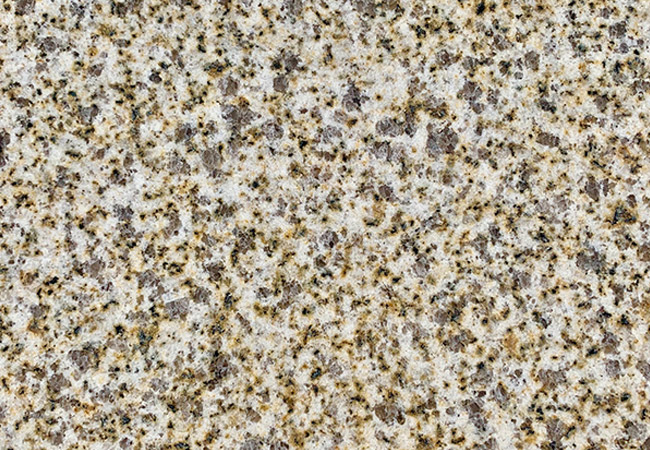 青島黃金麻廠家批發價(圖2)