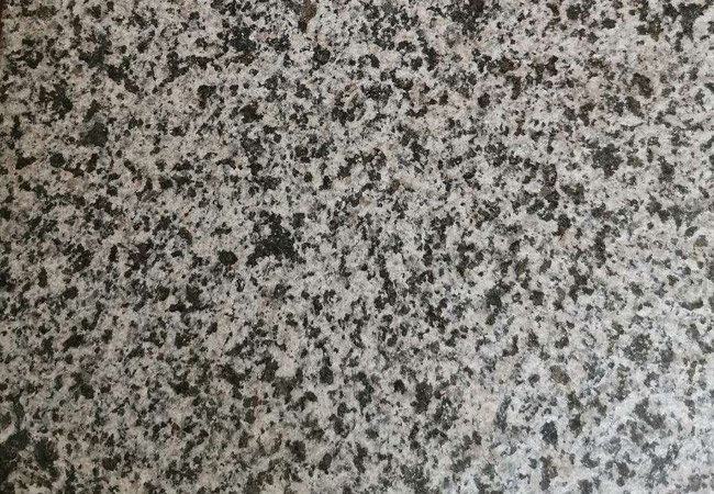 漳州芝麻黑價(jià)格行情多少(圖4)