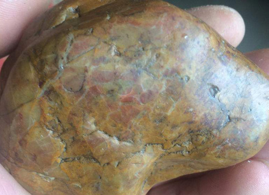 山東黃麻石材價格