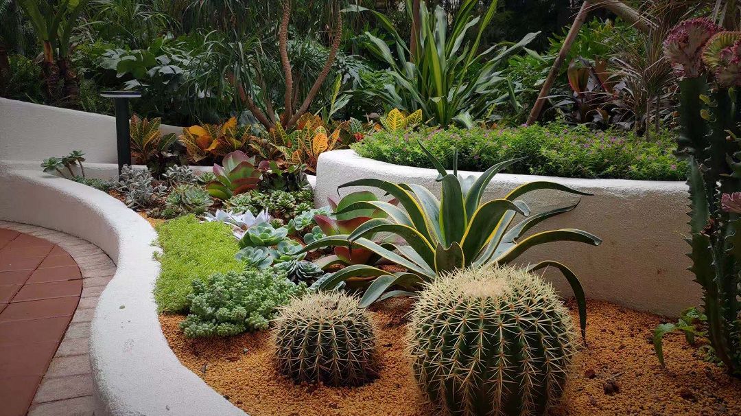 打造一個庭院花園需要花費多少錢？(圖3)