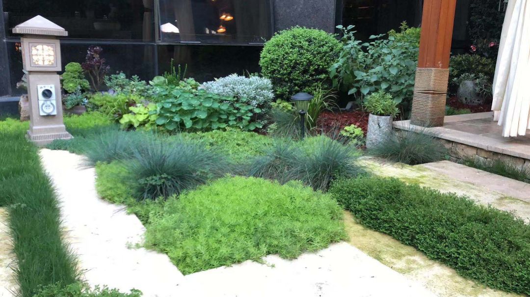 打造一個庭院花園需要花費多少錢？(圖7)