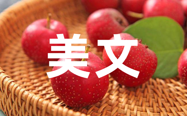 探究周寧美文線下寫作：如何讓手寫字更加優美？